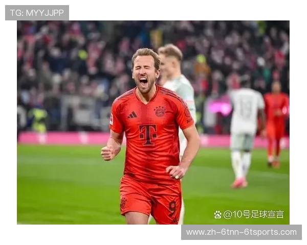 德甲联赛球队名单大全：2025赛季最新球队汇总