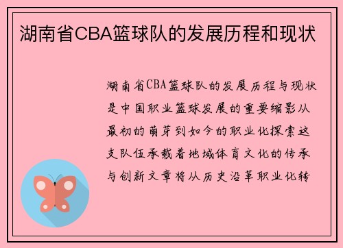 湖南省CBA篮球队的发展历程和现状